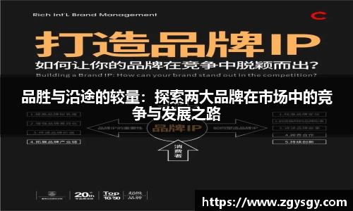 品胜与沿途的较量：探索两大品牌在市场中的竞争与发展之路